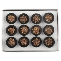 Platina Guggal Cup Dhoop - 12N