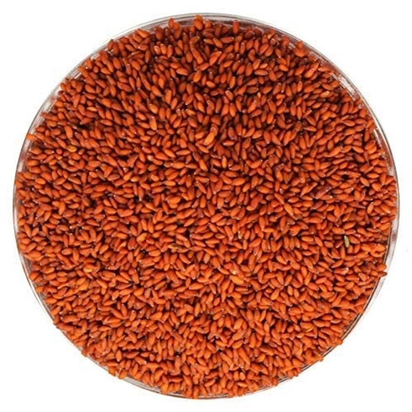 Aliv Seeds | Haleem Seed - 250g