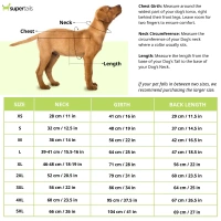 Pets Way Style 2 Republic Day T Shirt for Dogs - S