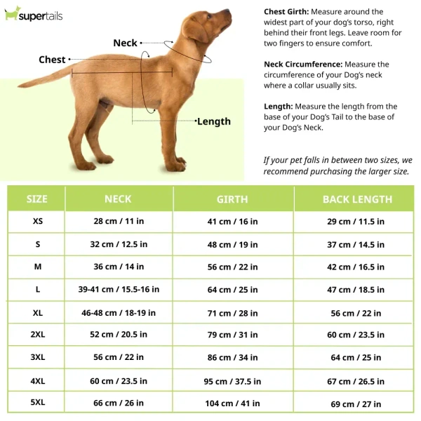 Pets Way Style 2 Republic Day T Shirt for Dogs - S