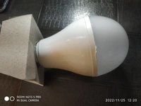 Orient LED Bulb 12w - White, Free