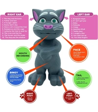 Talking Tom High Quality