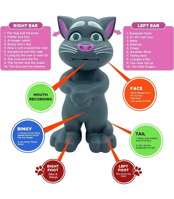 Talking Tom High Quality