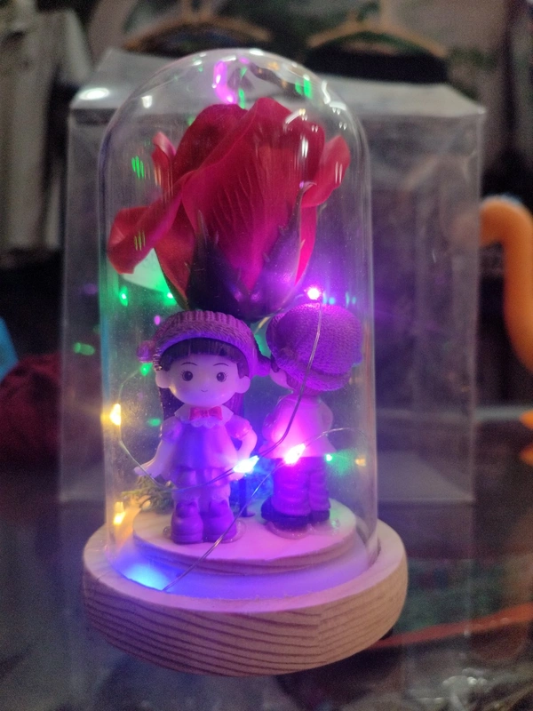 Glass Dome With Light Showpiece