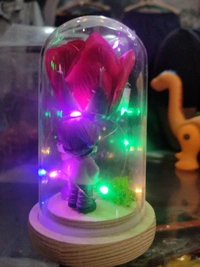 Glass Dome With Light Showpiece