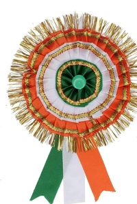 Tricolour Big Flag Pin Badge - 6