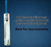 MCC sports Kashmir Willow Player Editon Bat - Full