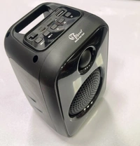 TRM SP-034 Changing Wireless Bluetooth Speaker – Multi-Color LED, Portable, High-Quality Sound