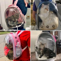 Pet Carrier Backpack for Cats and Puppy Small Dogs Space Capsule Transparent Breathable, Airline Approved Max Capacity 13 lbs