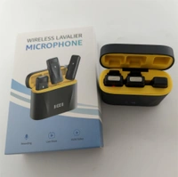 Dual Wireless Microphone System for Professional Use
