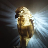 Eagle Night Light Wall Decor | Stylish Injection-Molded LED Light