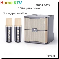 Wireless Karaoke Microphone Speaker – UHF Low Latency | Bluetooth | LED Lights | Home & Outdoor Use