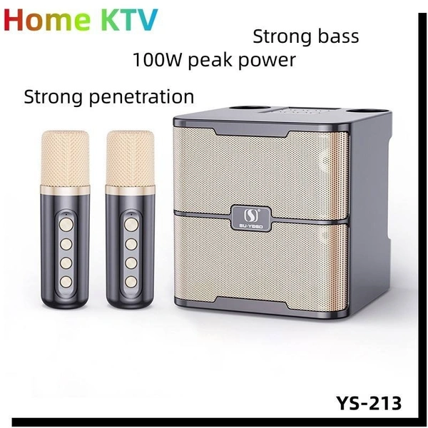 Wireless Karaoke Microphone Speaker – UHF Low Latency | Bluetooth | LED Lights | Home & Outdoor Use