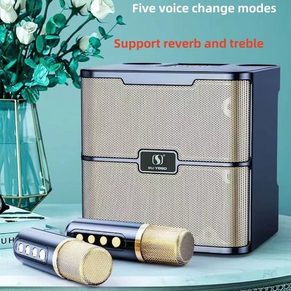 Wireless Karaoke Microphone Speaker – UHF Low Latency | Bluetooth | LED Lights | Home & Outdoor Use
