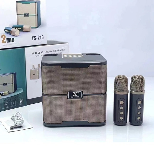 Wireless Karaoke Microphone Speaker – UHF Low Latency | Bluetooth | LED Lights | Home & Outdoor Use