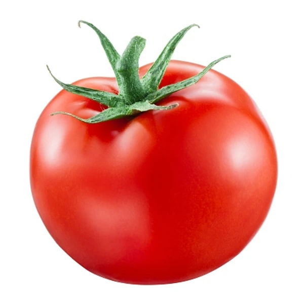 ताज़ा  Tomato 