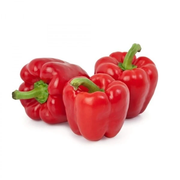 Capsicum (Red) 