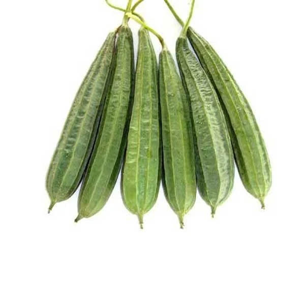 Ridge Gourd/Dhari Torai - 250gm