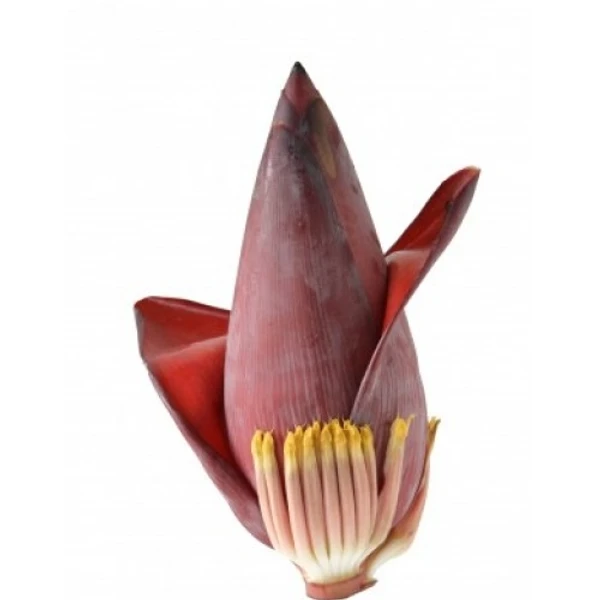 Banana Flower 1PC