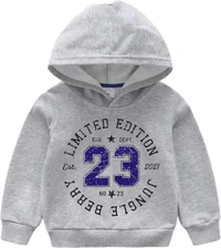 Boys Full Sleeve Printed Hooded Sweatshirt
