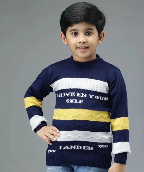 Boys Colorblock Round Neck Black, Red, Yellow Sweate