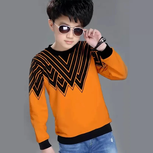Boys Full Sleeve Color Block Sweatshirt
