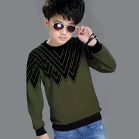 Boys Full Sleeve Color Block Sweatshirt