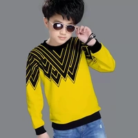 Boys Full Sleeve Color Block Sweatshirt
