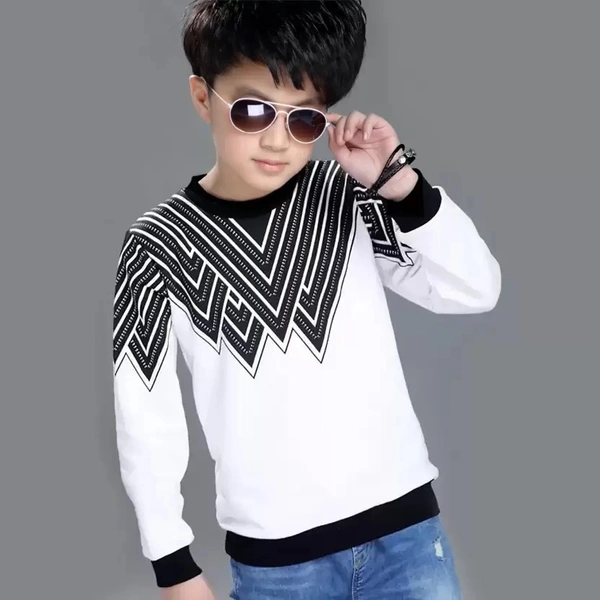 Boys Full Sleeve Color Block Sweatshirt