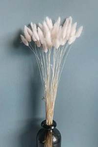 Dried flower For Gifting or Vase Filler - White