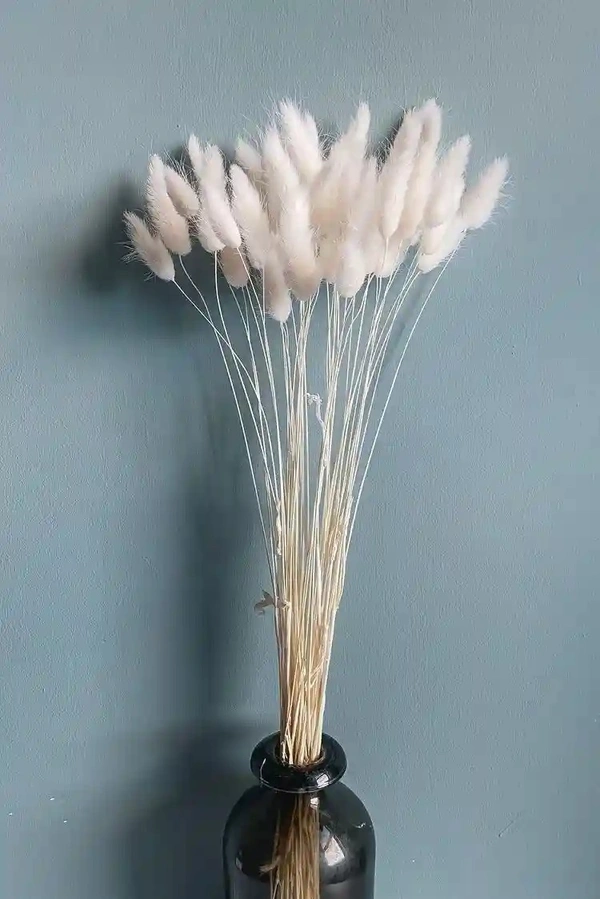 Dried flower For Gifting or Vase Filler - White