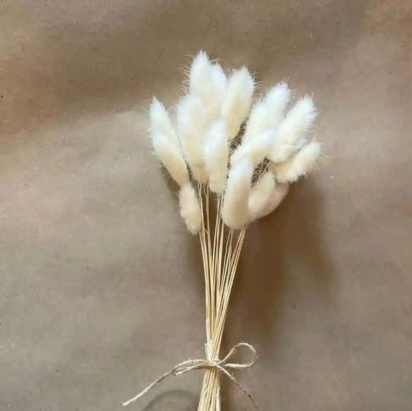 Dried flower For Gifting or Vase Filler - White