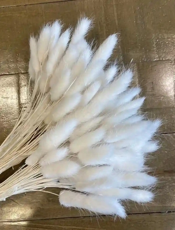Dried flower For Gifting or Vase Filler - White