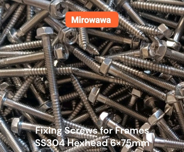 6×75 SS304 Hex Head Screw Plus Plastic Plug
