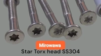 6×75 SS304 Hex Head Screw Plus Plastic Plug