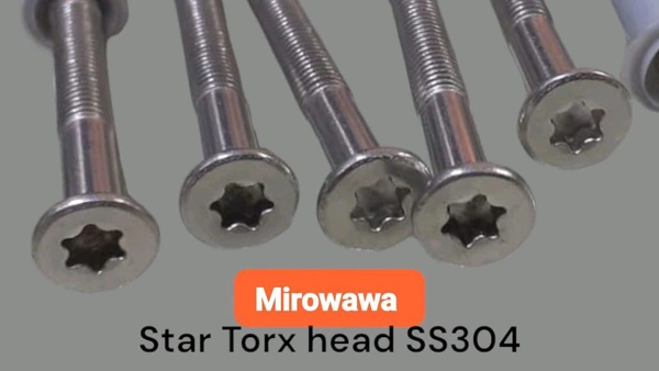 6×75 SS304 Hex Head Screw Plus Plastic Plug