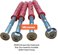 6×75 SS304 Hex Head Screw Plus Plastic Plug