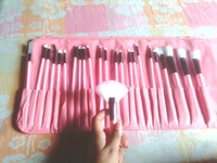 Makeup Brush Set (Set of 24 brushes ) - Pink