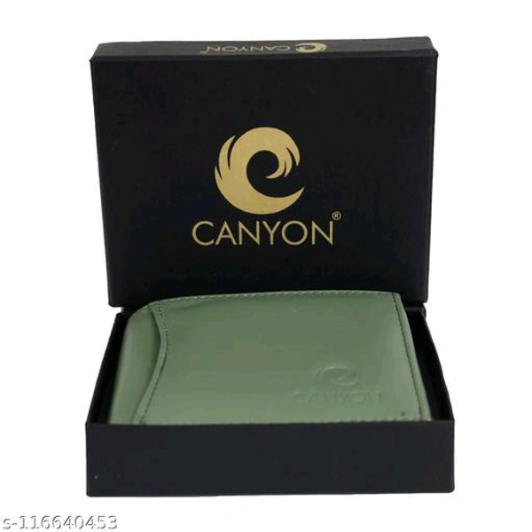 StylesModern Men Wallets - Green
