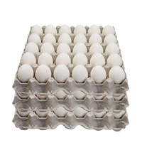 Eggs - 150pieces