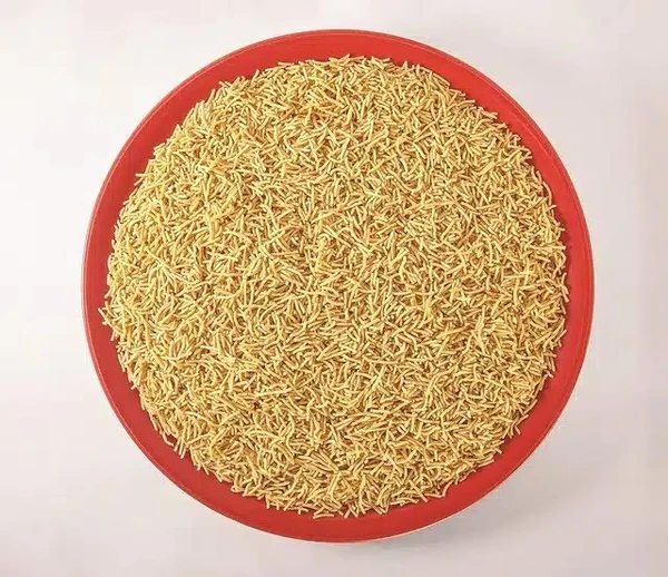 Bhujialalji Bikaneri Bhujia 1 kg