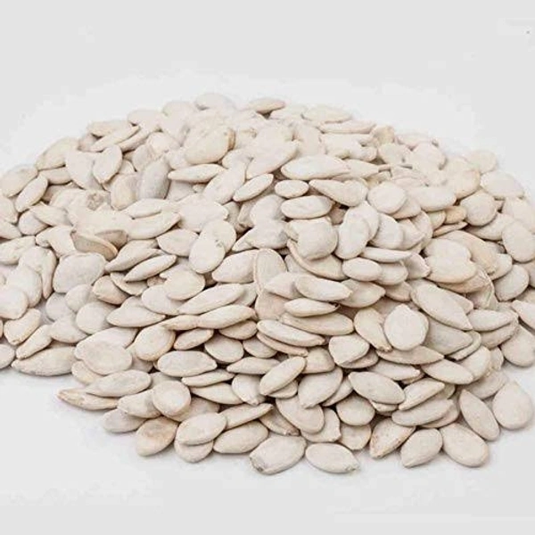 Magaja Seed 100gm