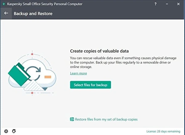 Kaspersky Small Office Security Standard Latest Version | 20 Devices, 20 Mobiles, 2 Server | 1 Year | Code email or whatsapp in 24 Hours - No CD Global Key