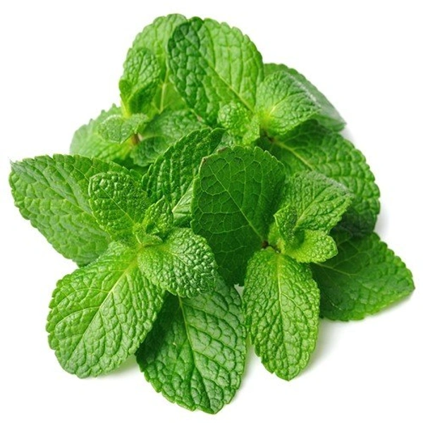 Mint Leaves (पुदीना) - 1 Bunch