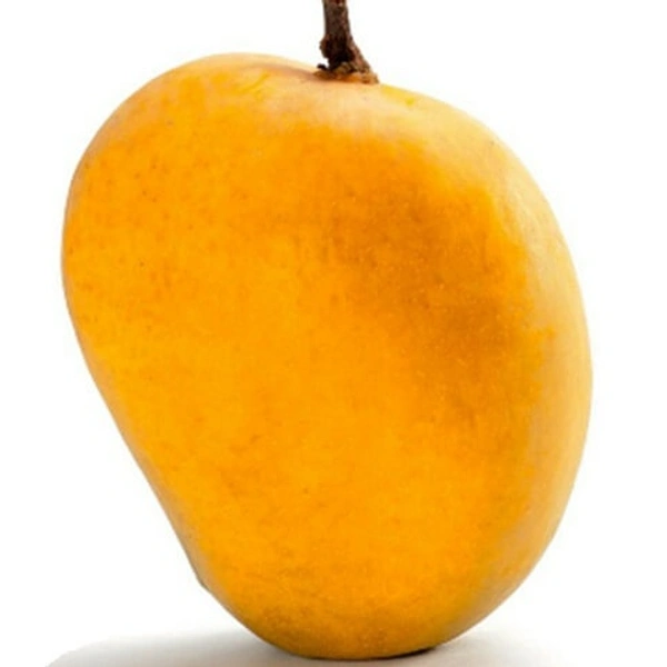 Safeda Mango (सफेदा आम) - 500g
