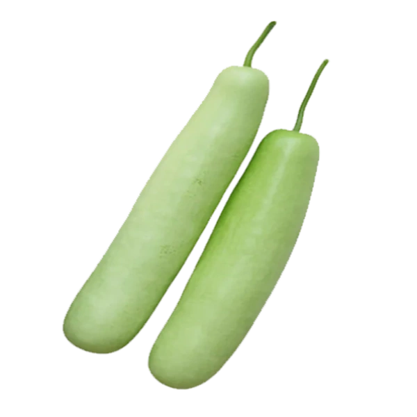 Bottle Gourd (लौकी) - 1pc