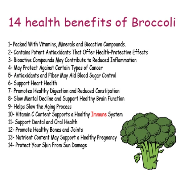 Broccoli (ब्रोकोली) - 1pc