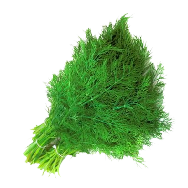 Dill Leaves (सोया) - 1Bunch