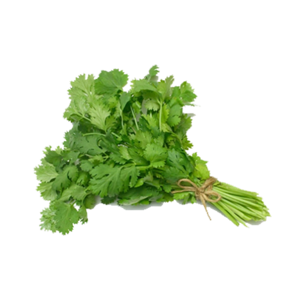 Coriander (धनिया) - 1Bunch