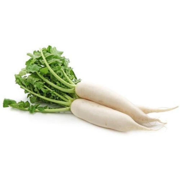 White Raddish (मूली) - 1Kg